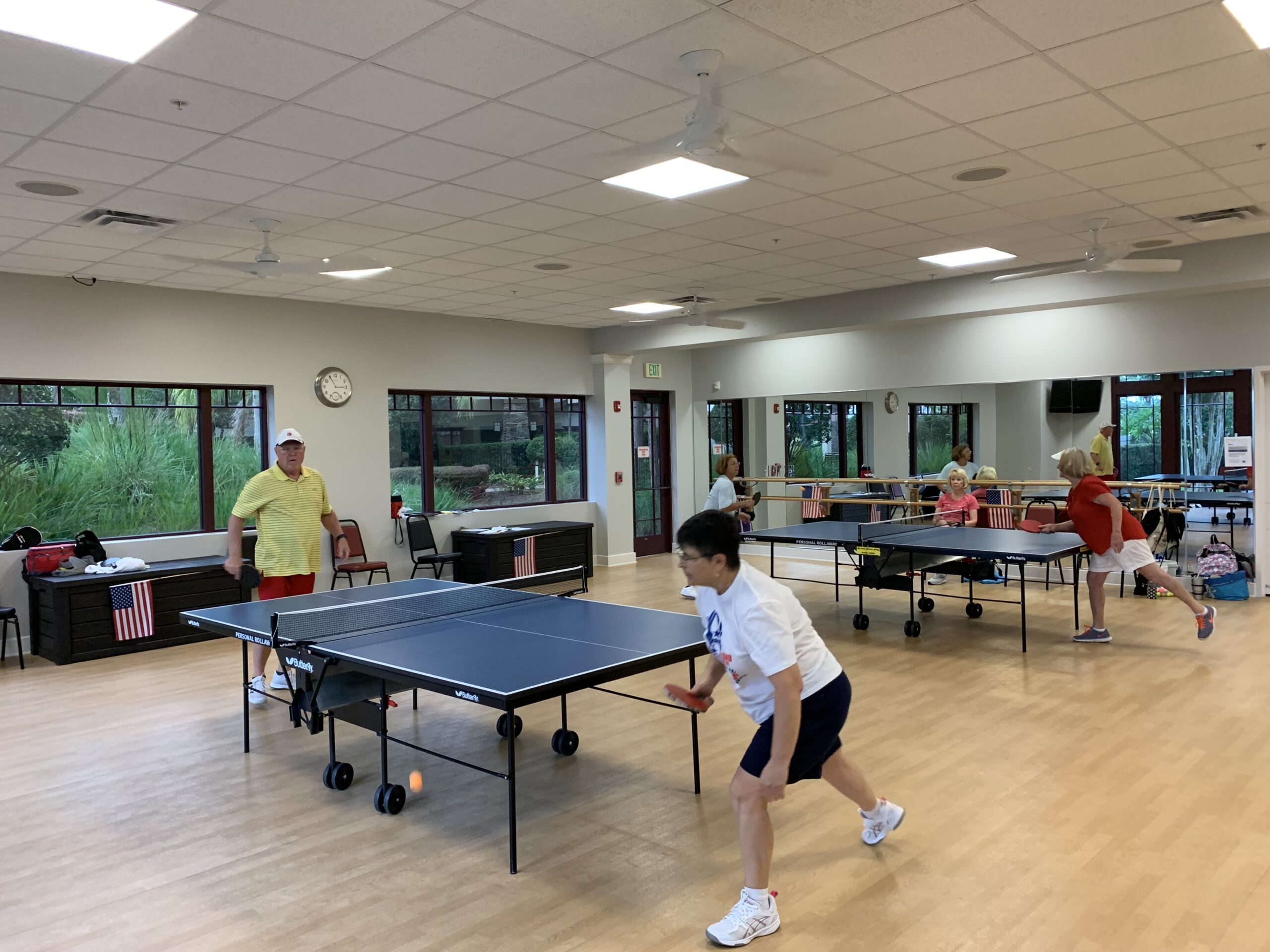 Table Tennis Stone Creek