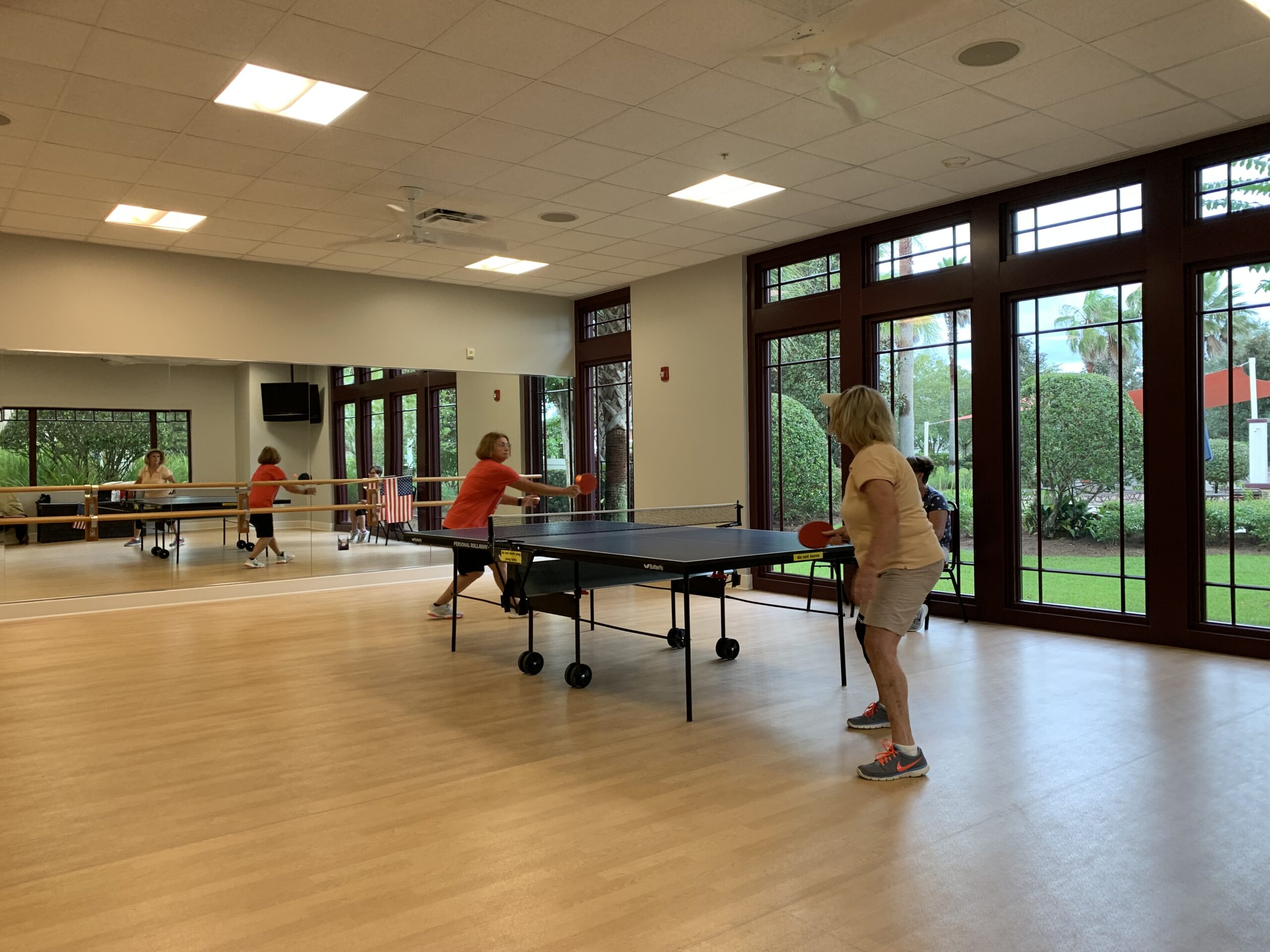 Table Tennis Stone Creek
