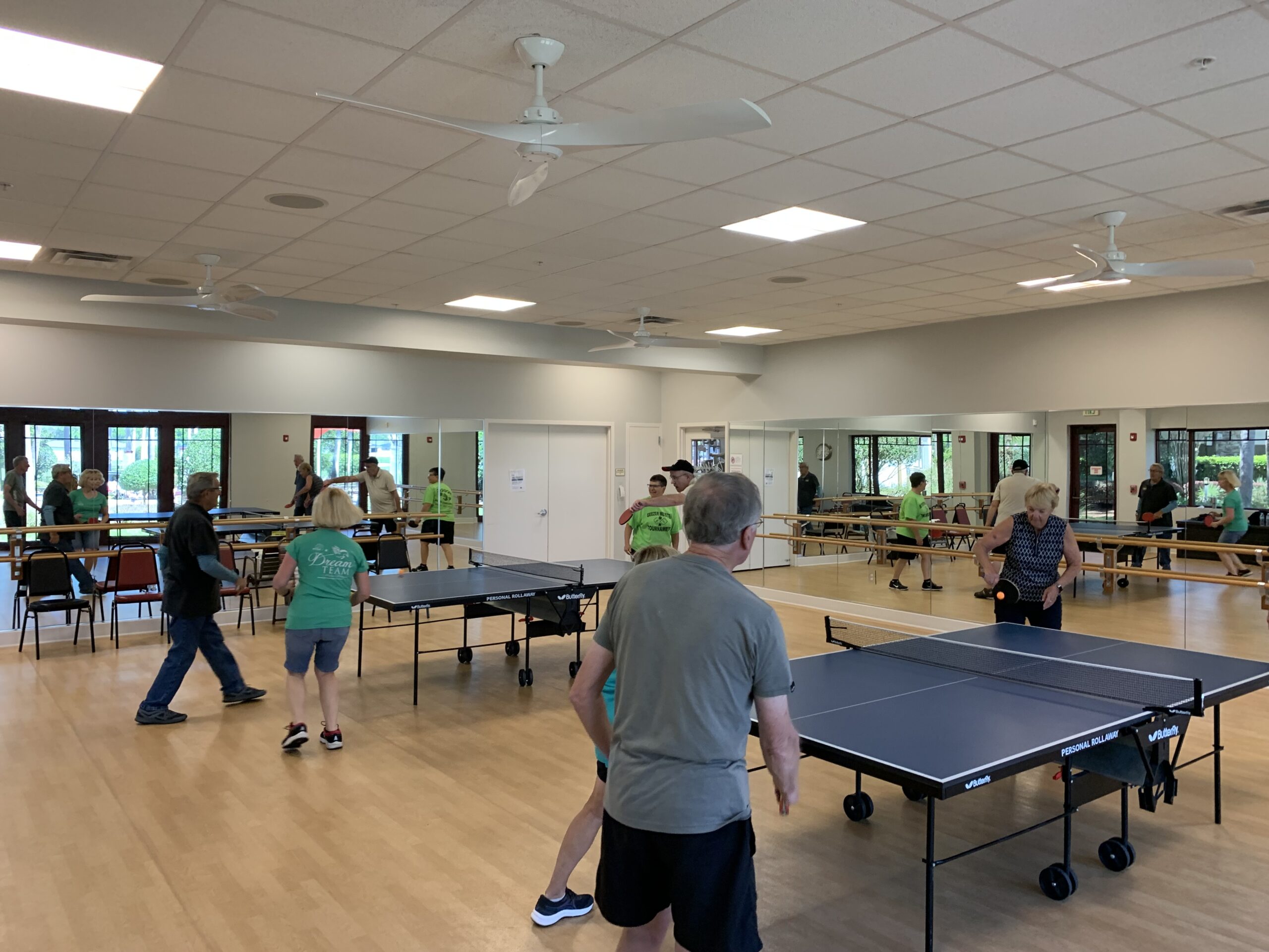 Table Tennis Stone Creek