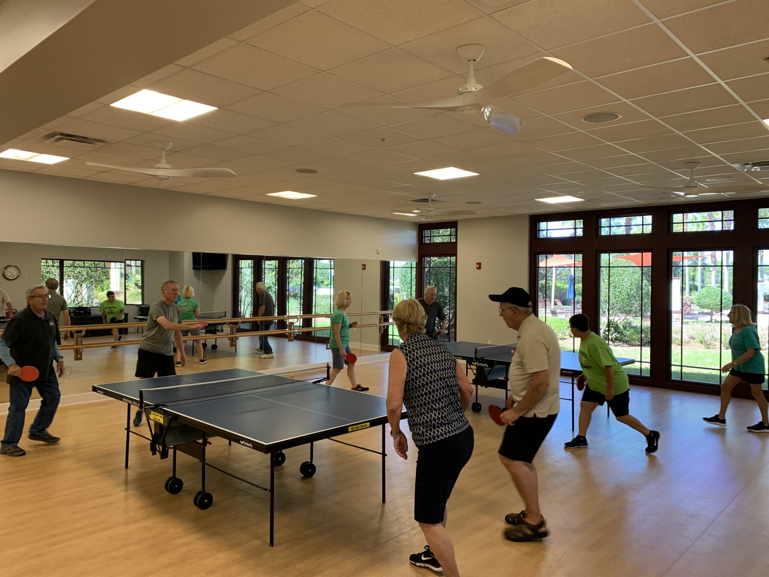 Table Tennis Stone Creek