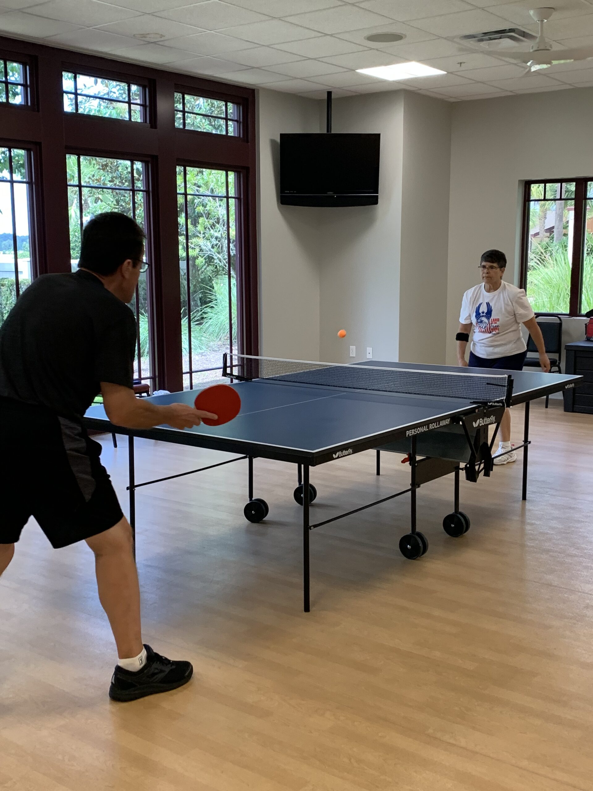 Table Tennis Stone Creek